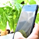 お問い合わせタイトル